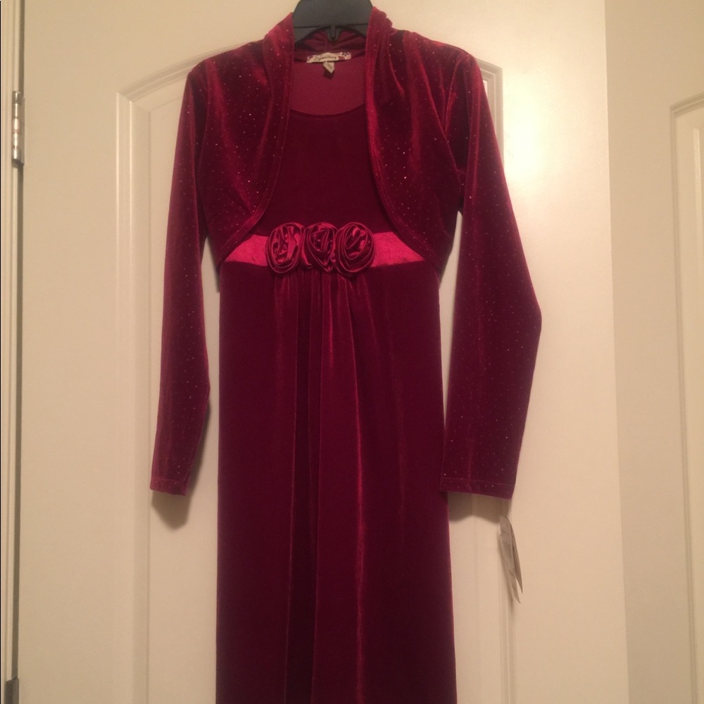 NWT Burgundy Girls velvet dress.